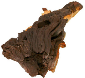 Акваріум, рекомендації з вибору деревини для корчі