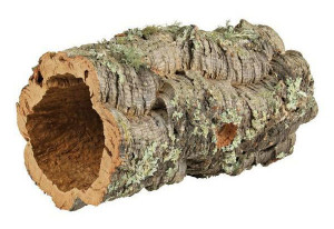 Акваріум, рекомендації з вибору деревини для корчі
