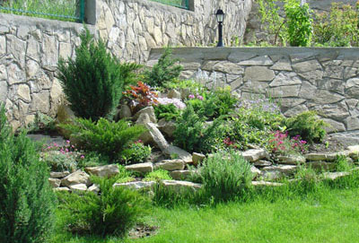 Alpine deal sau rockery, design si design - compania grinrart