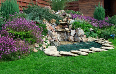 Alpine deal sau rockery, design si design - compania grinrart