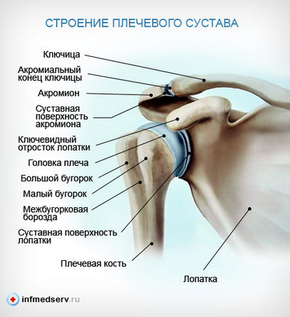 Artroza articulației acromioclaviculare, traumatologie sportivă