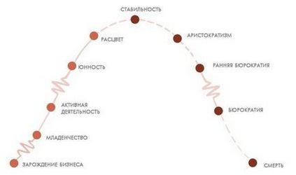 Азбука клієнта 5 стадій зростання як сайт росте разом з компанією - cms magazine