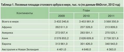 Pepiniere strategia de creștere și perspectivele de dezvoltare, cartofi și legume