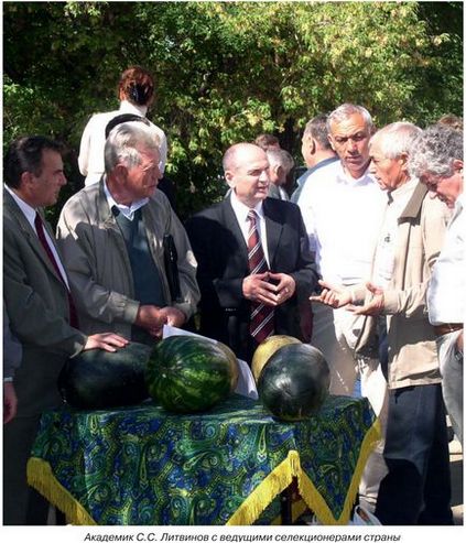Melon stratégiai és fejlesztési kilátások, a burgonya és a zöldségfélék