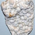 Turcoazul (fotografia unei pietre) - care sunt proprietățile sale, semnificația pentru o persoană, pe care o potrivește și de ce