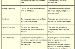 Боротьба з цвіллю в будинку алгоритм дій, засоби