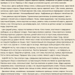 Бретонська епаньоль - повний огляд однієї з порід французьких лягавих (фото, відео, опис)