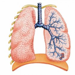 Bronsita simptome fumat și tratamentul bolii - bisturiu - medicale