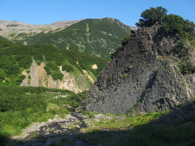 Caas - Peninsula Kamchatka