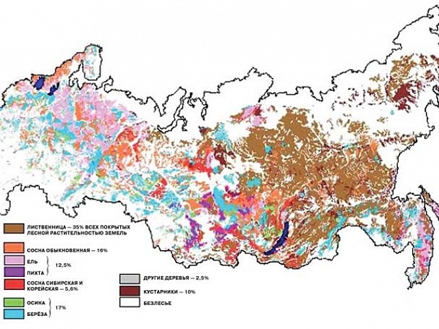 Цілюще червоний ліс, наука і життя