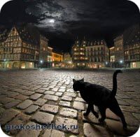 Pisica neagra a superstitiei