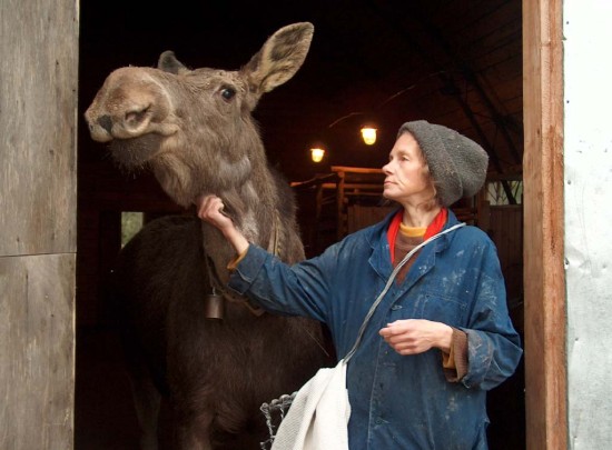 Că o persoană este pregătită să creeze un raport din ferma moose cu 