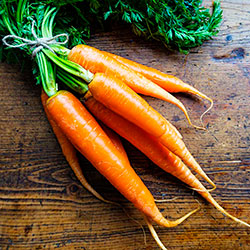 Що робити не сходить морква і як часто поливати морква після посадки