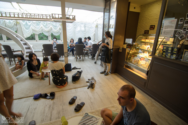 Ce să vezi în Bangkok - club de cafenele cu pisici