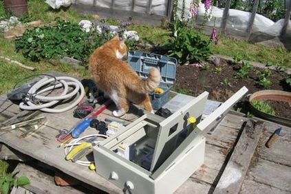 Electrician, viață și cablare