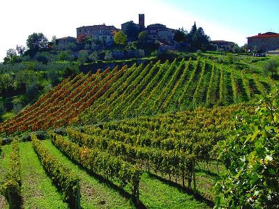 Tíz tipp a hogyan válasszon egy jó Chianti