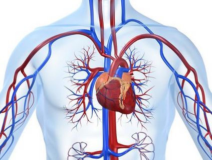 Диспансерне спостереження хворих з ішемічною хворобою серця