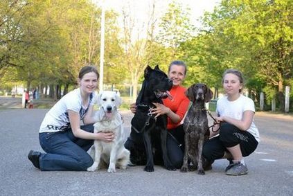 Instruirea câinilor (individual și a terenurilor de instruire) în Kharkiv