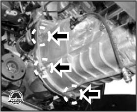 Motorul ssangyong rexton, editura monolit