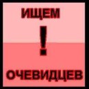 Олена Проклова «ведмедя вистежувала дві доби»