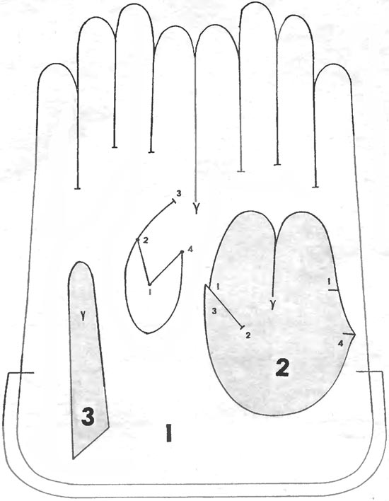 Enciclopedia de tehnologii și tehnici - cum să coaseți mănuși de blană