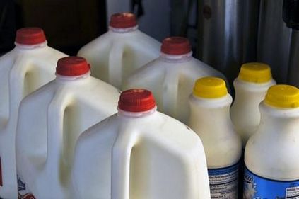 Dacă depozitați lapte în ușa frigiderului