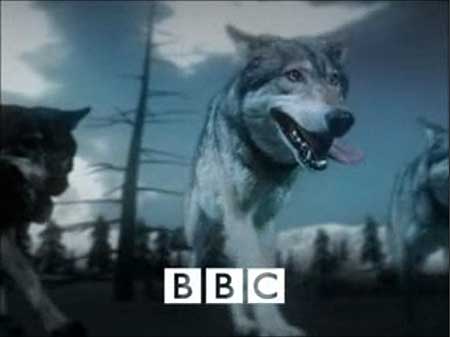 Фільми про вовків онлайн - дикий портал