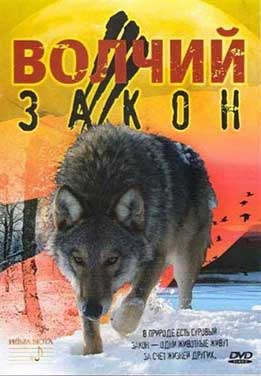 Фільми про вовків онлайн - дикий портал