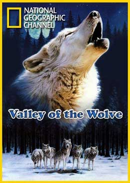 Фільми про вовків онлайн - дикий портал