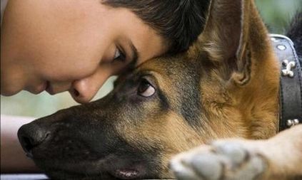 A genetikusok már talált egy szokatlan magyarázatot a barát kutyák
