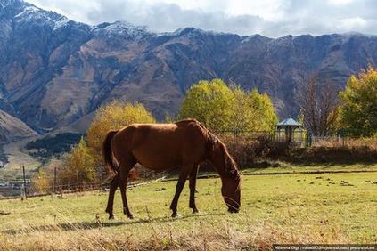 Гергетской церква, грузія фото, історія храму в Гергеті