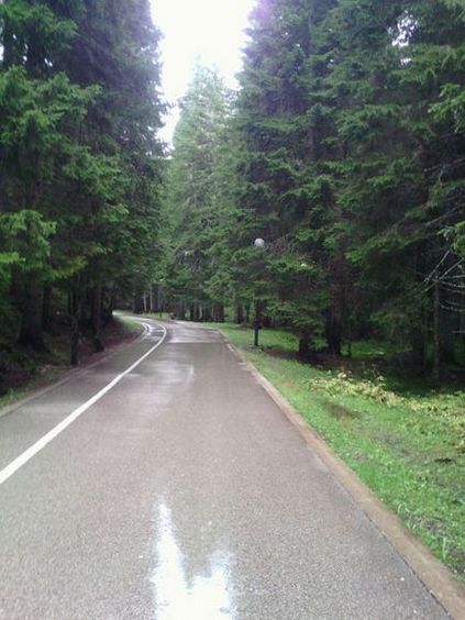 Hegyi és Durmitor Park, Montenegró leírás, képek, ahol a térképen, hogyan juthat