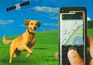 GPS geodog - materiale utile despre tehnologia mobilă