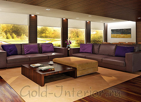 Інтер'єр з коричневим диваном - приклади сполучень