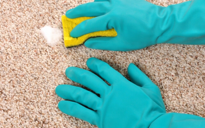Як чистити килими - правила і особливості догляду за Шеггі