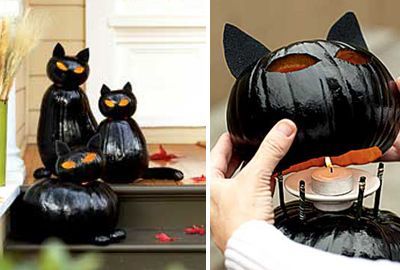 Cum, de la ce poți face o pisică neagră și o fantomă de Halloween
