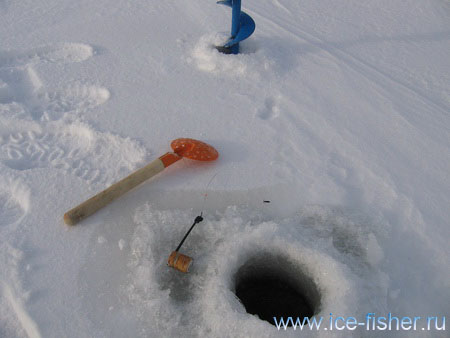 Cum de a găsi un biban mare în timpul iernii pe un iaz! Pescuitul în regiunea Sverdlovsk