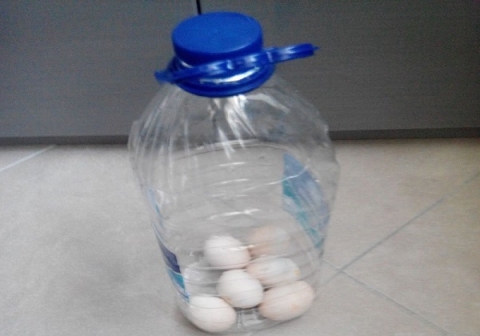 Cum să transportați ouăle pentru a nu rupe