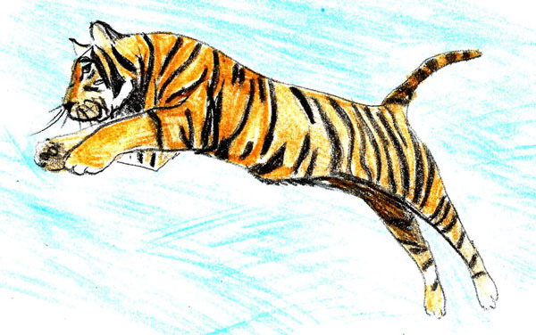Cum să scrii în etape un tigru anime, un tigru, creioane și vopsele