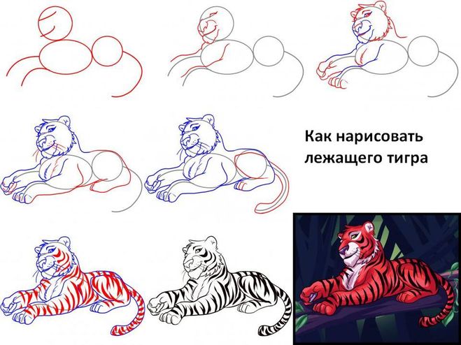 Hogyan kell felhívni anime szakaszosan tigris, tigris kölyköt, ceruzák és festékek