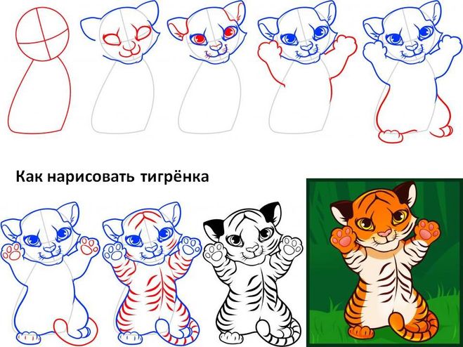 Hogyan kell felhívni anime szakaszosan tigris, tigris kölyköt, ceruzák és festékek