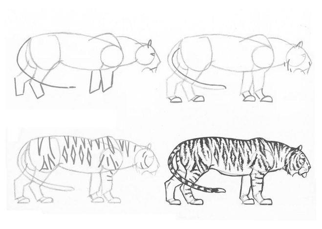 Як поетапно намалювати аніме тигр, тигр, олівцями і фарбами