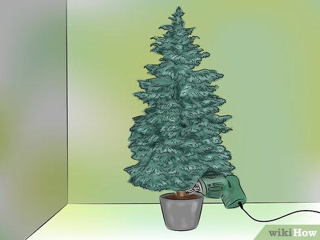 Як поставити різдвяне дерево