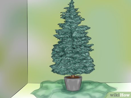 Як поставити різдвяне дерево