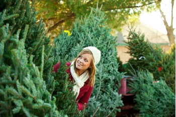 Hogyan válasszuk ki egy élő karácsonyfa