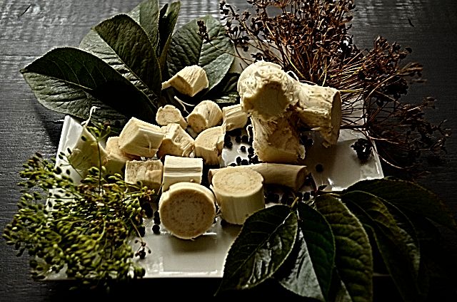 Hogyan pácolást gombák nyers eljárás sózás, finom receptek (sózás) Hogyan savanyú gomba nyers eljárás sózás, ízletes receptek