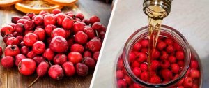 Cum de a păstra păducel pentru revizuirea de iarnă a căilor și recomandări de bază pentru stocarea fructe de padure în casa ta