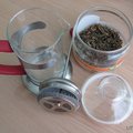 Hogyan törődik orchidea, expertoza (expertoza) Hogyan törődik orchidea, expertoza