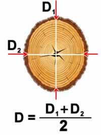 Як обчислити кубатуру круглого лісу кубатурника обсягу пиломатеріалу круглого перетину - легка справа