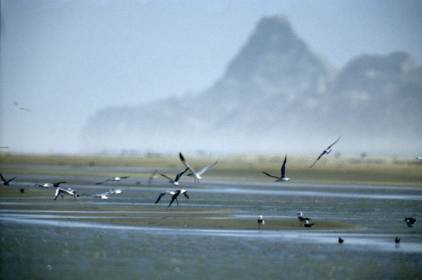 Cum se usuca Marea Aral (7 fotografii)